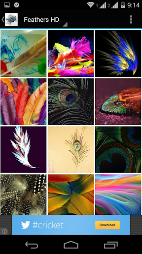 【免費個人化App】Feathers Of Birds HD Wallpaper-APP點子