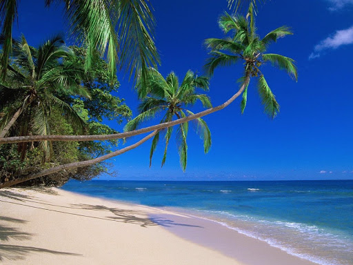 Fiji Wallpapers - Tropical