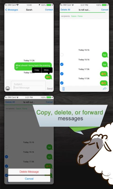 Espier Messages Pro - screenshot