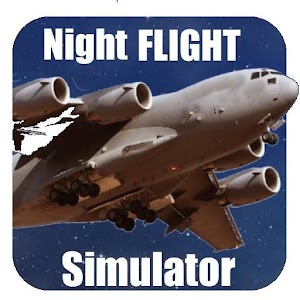 flight simulator night plane for PC and MAC