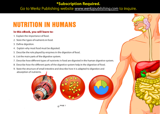 epub communication relationships and