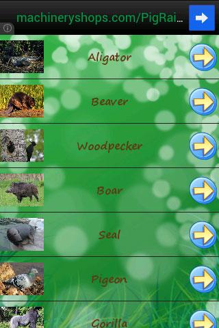 免費下載教育APP|Sounds of animals app開箱文|APP開箱王