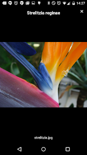 Botanischer Garten Graz Screenshots 5