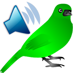 Cover Image of Download Birds Calls Sounds 1.03 APK