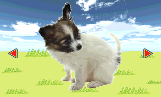 Lastest AnimalSoundsForBaby - Baby Zoo APK for Android