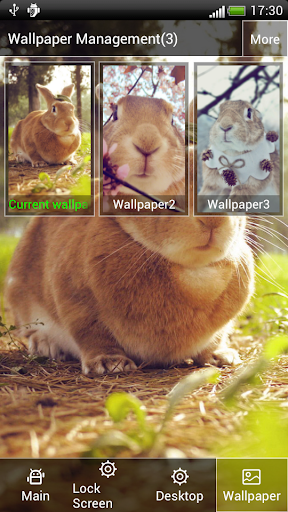免費下載生活APP|兔子動態壁紙屏幕鎖 app開箱文|APP開箱王