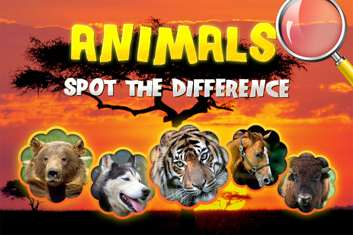 Find difference animals images