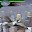 Fly like a bird 3 Download on Windows
