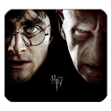 Harry Potter Deadly Hallows