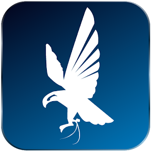 Falcon Log.apk 1.0.00023