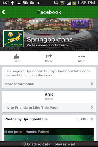 Springbok News