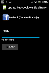 Update Facebook via Blackberry - screenshot thumbnail