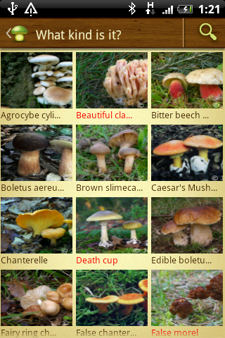 MushtoolPro - Mushroom