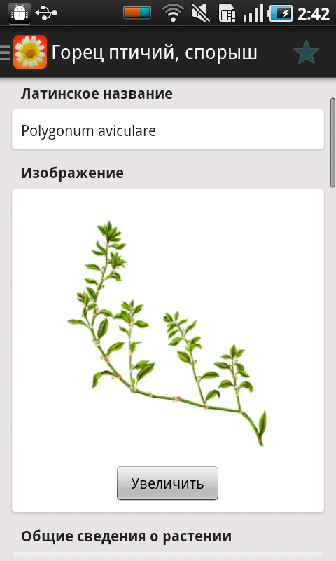 Лекарственные растения Screen 2