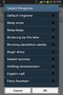 Pie Timer Ad - náhled