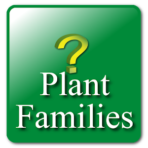 Key: Plant Families 1.1 Icon