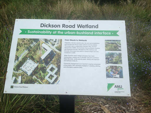 Dickson Road Wetland