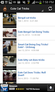 Lastest Funny Pet Videos APK