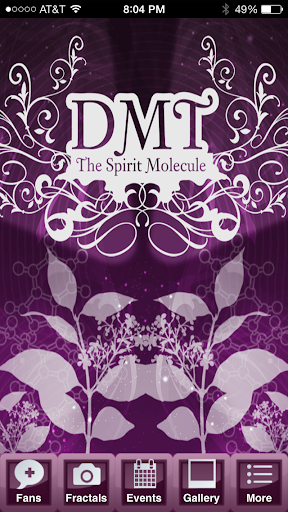 DMT The Spirit Molecule