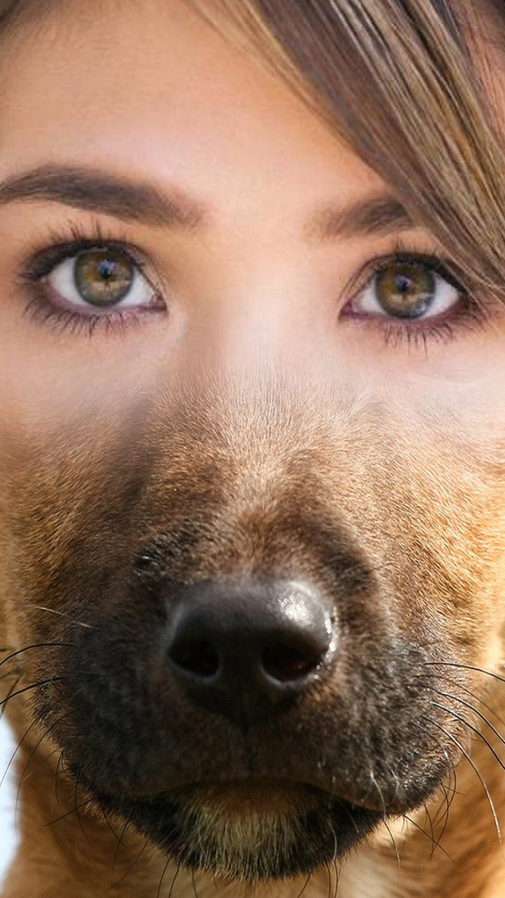 Animal Face Swap Screen 3