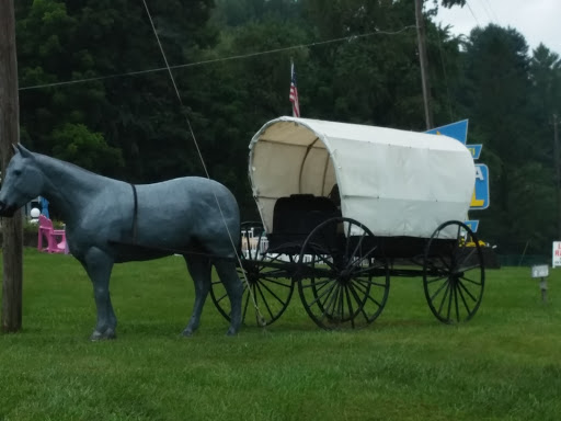 Carolina Horse And Buggy Statue 