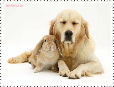 romance and love