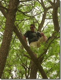 08 tree climbing  Booki