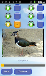 Remember Bird! poster 2