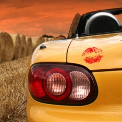 [clip_image003[6].jpg]