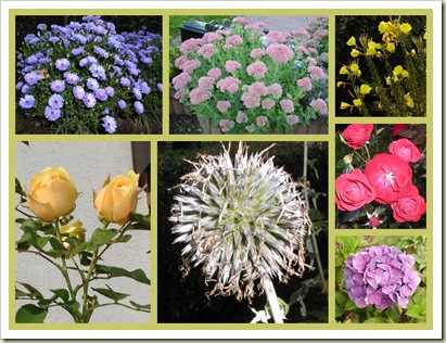 Collage Herbstblumen
