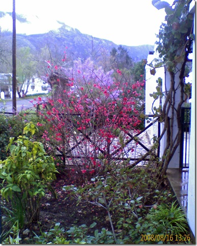 IMAGE_208_edited
