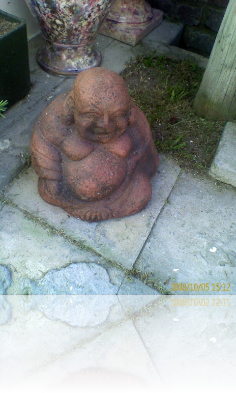 buddah in our garden