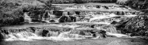 [DSC_1860_1_2Enhancer[4].jpg]