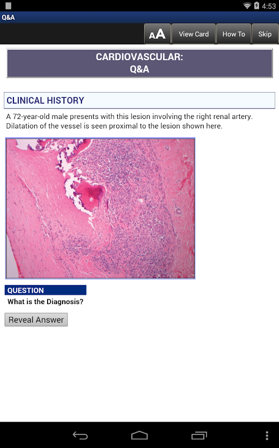 Anatomic Pathology Flashcards Android Apps on Google Play