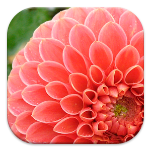 Photography Tutorials 1.1