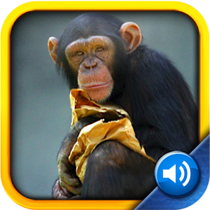 Toddler Tapping Zoo -  apps