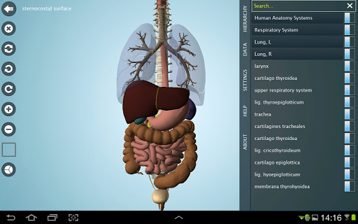 【免費醫療App】Male Anatomy 3D - Anatronica-APP點子