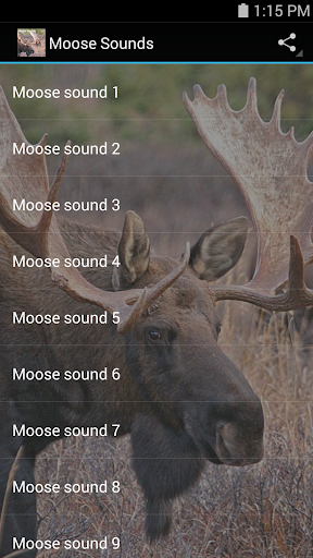 【免費音樂App】Moose Sounds-APP點子