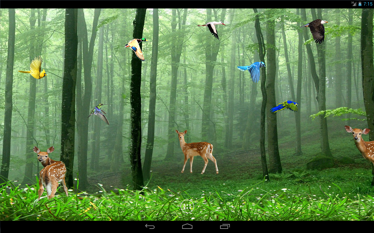 Rain Forest LWP Android Apps On Google Play