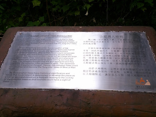 Exhibition Panel on the Large Camphor Trees at Sha Lo Wan