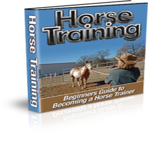 Horse Training LOGO-APP點子