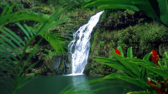 Lastest 3D Waterfall HD Wallpaper APK for Android