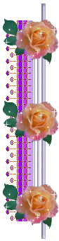 Barrinhas+Floridas1ll4.png
