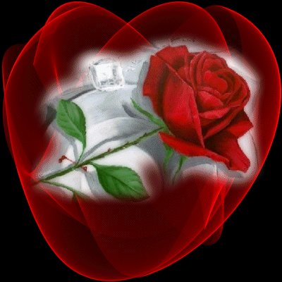 63d76f30b3d9e0461d307dcrh8.jpg