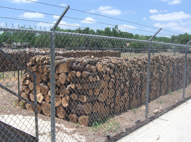 [f66f8aae-c48c-44e4-9b49-706a4d6a228a.jpg]