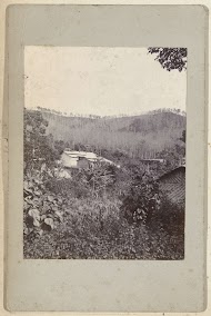 Gevlochten hutjes in een boslandschap op Indonesië