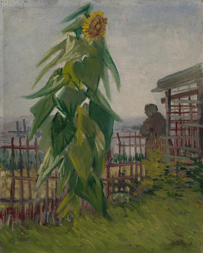 The Painter of Sunflowers - Van Gogh Museum