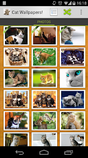 Cat Wallpapers! - screenshot thumbnail