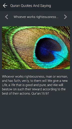 Quran Quotes And Saying