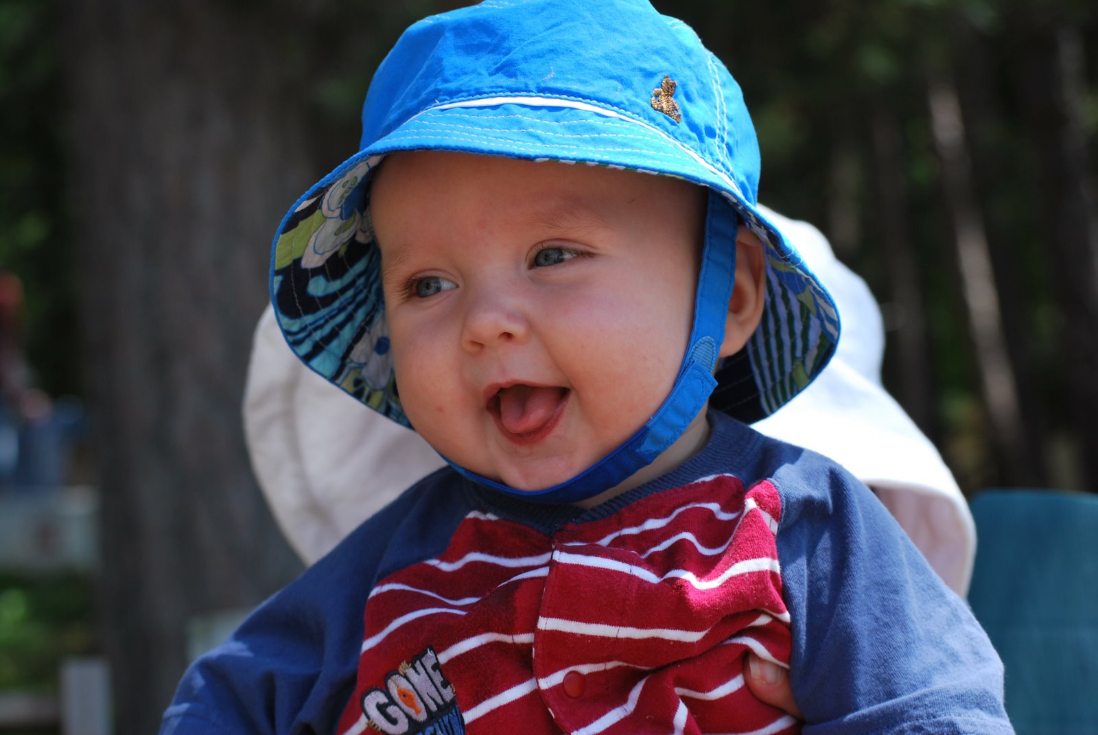 [DSC_01453.jpg]